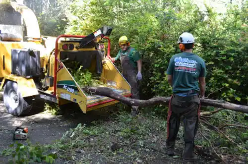 tree services Goldstream